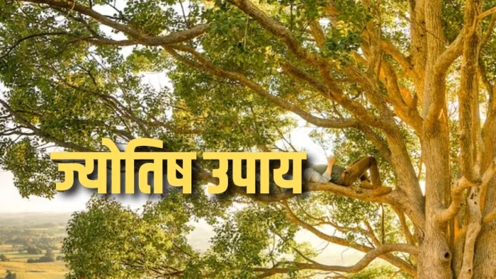 Jyotish Shastra: जानते हैं पीपल से जुड़ी ज्योतिष ट्रिक्स के बारे में।