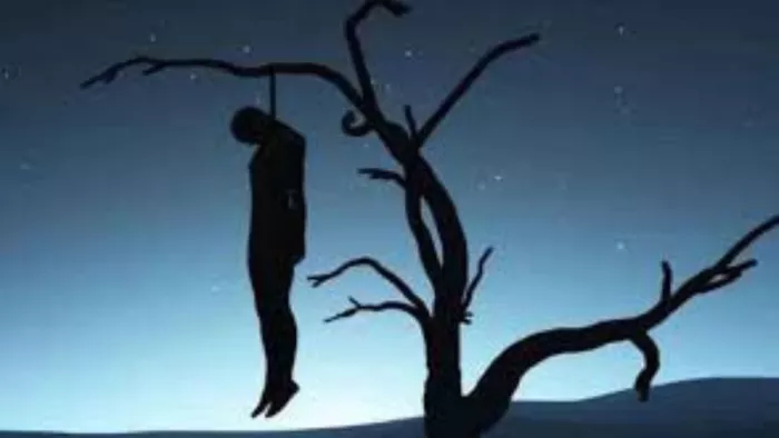 घर से नौकरी की तालाश में निकला था युवक, जंगल में फंदे से लटका मिला शव, आत्महत्या की आशंका