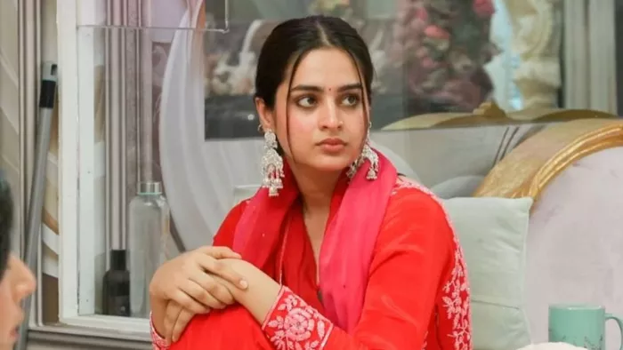 बिग बॉस 17 से बाहर हो सकती हैं आयशा खान (Photo Credit-Instagram)