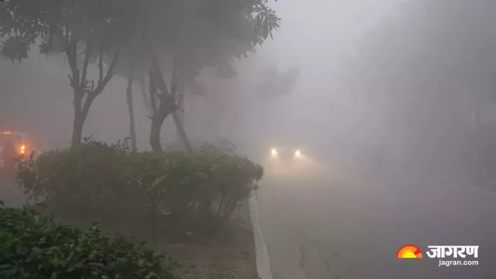 घने कोहरे और कंपकंपाती ठंठ के चपेट में बिहार। (फाइल फोटो)