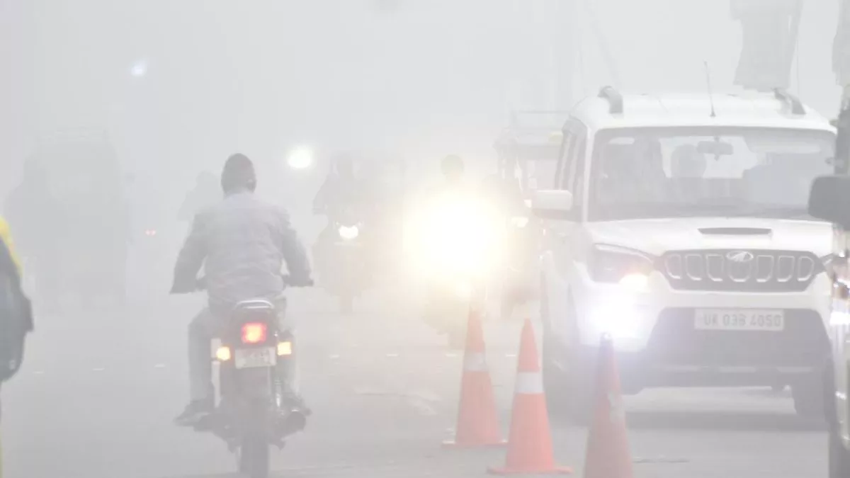 Pilibhit Weather: घने कोहरे से थम गए गाड़ियों के पहिये, आसमान से टपकी बर्फ जैसी ठंडी फुहारें