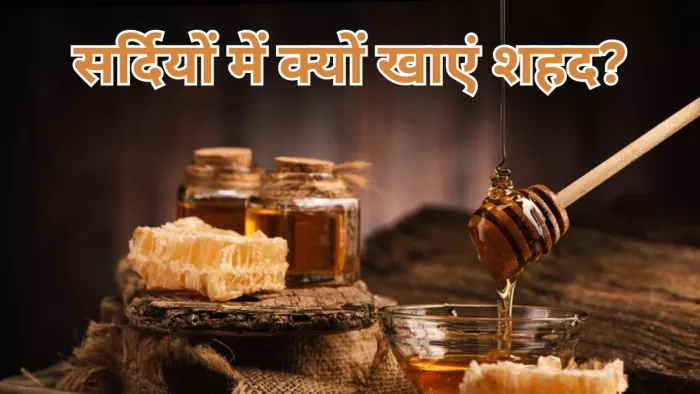 गुणों का खजाना है शहद, जानें सर्दियों में इसके फायदे