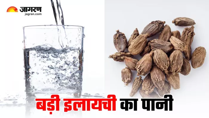 सर्दी-जुकाम से परेशान लोगों के लिए रामबाण है बड़ी इलायची का पानी (Image Source: Freepik)