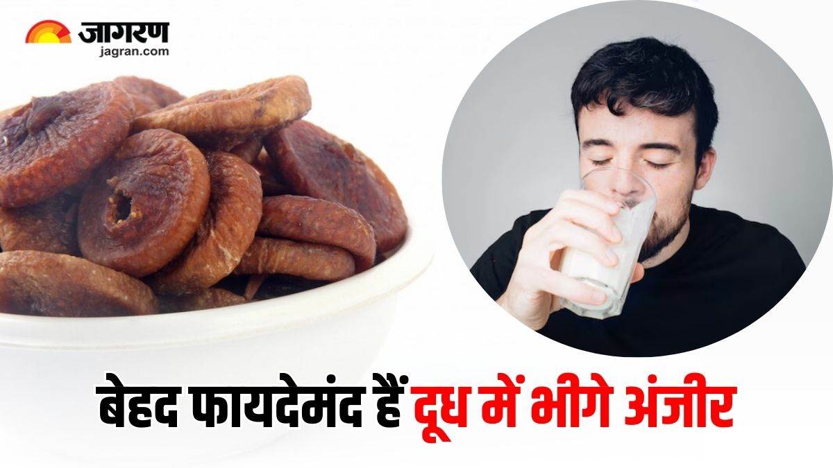 https://www.jagranimages.com/images/newimg/29122024/29_12_2024-fig_milk_health_benefits_23857860.jpg