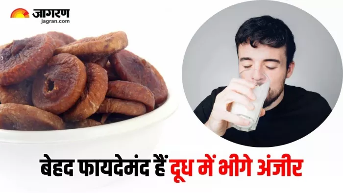 सर्दियों में बेहद फायदेमंद है अंजीर का दूध, कई समस्याओं में करता है रामबाण का काम (Image Source: Freepik)
