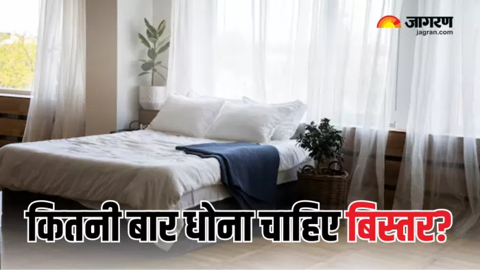 गद्दे और तकिए की नियमित रूप से करनी चाहिए सफाई (Picture Courtesy: Freepik)