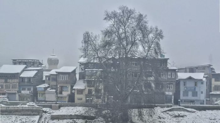कश्मीर में बर्फबारी ने बढ़ा दी परेशानी (फोटो- साहिल मीर)