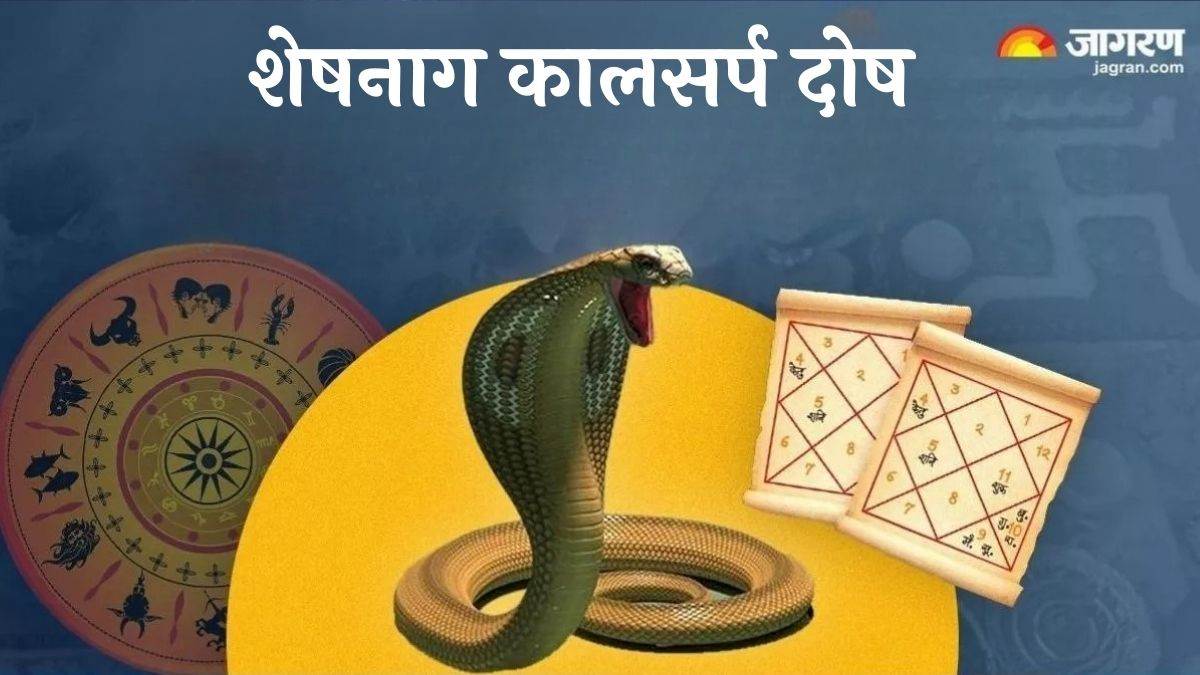 sheshnag kaal sarp yog do these easy remedies to get rid of vasuki kaal sarp dosh