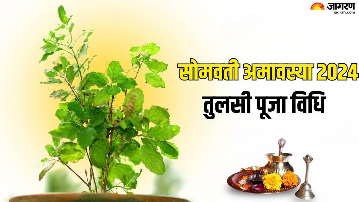 https://www.jagranimages.com/images/newimg/29122024/29_12_2024-tulsi__38_23857648.jpg