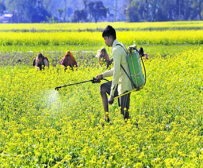 कान्ट्रैक्ट फार्मिग अपनाकर दो साल में अपनी आय दो लाख से बढ़ाकर पांच लाख रुपये कर ली।