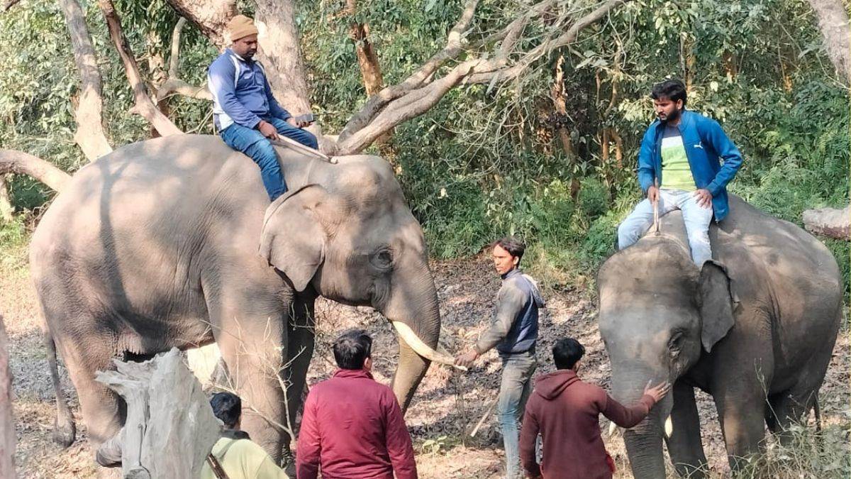 https://www.jagranimages.com/images/newimg/30012024/30_01_2024-search_for_man_in_forest_23641399.jpg