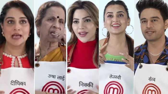 सेलिब्रिटी मास्टरशेफ इस कंटेस्टेंट ने ली है सबसे ज्यादा फीस/ फोटो- Instagram
