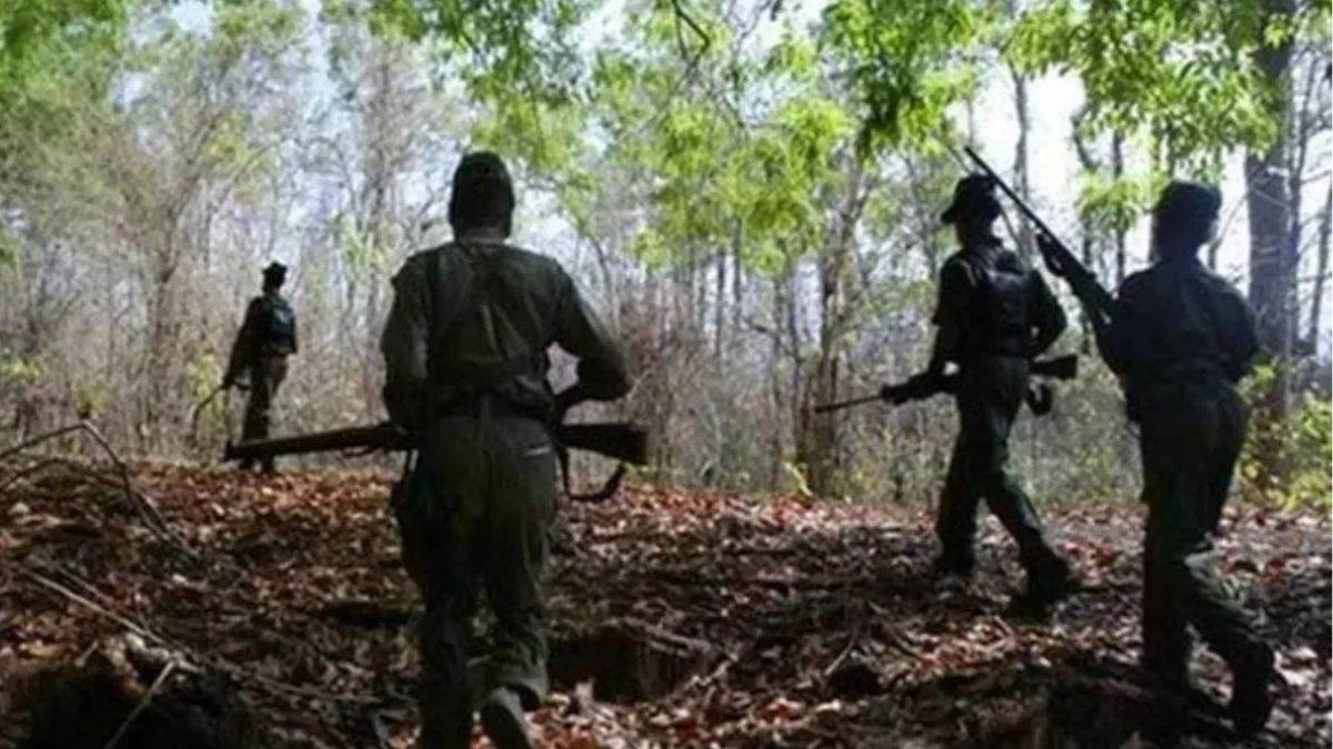 chhattisgarh 29 naxals of the kutul area committee surrendered before narayanpur including 22 men and 7 women