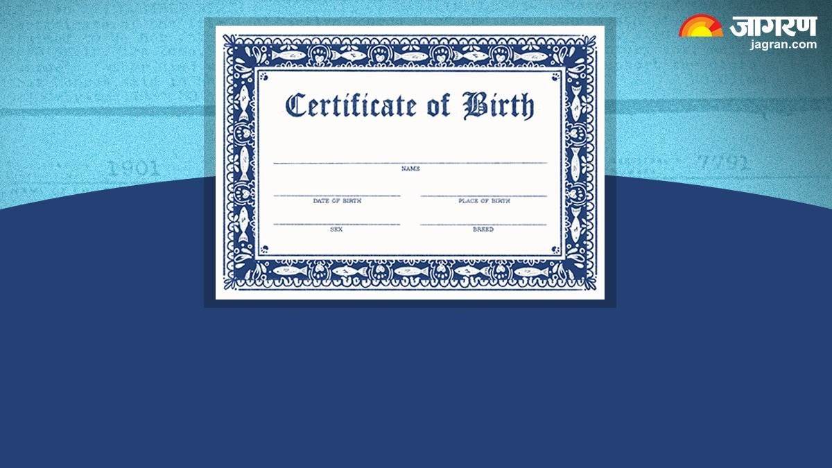 https://www.jagranimages.com/images/newimg/30012025/30_01_2025-fake_birth_certificate_23875849.jpg