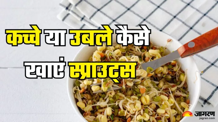 क्या स्प्राउट्स खाने का सही तरीका (Picture Credit- Freepik)