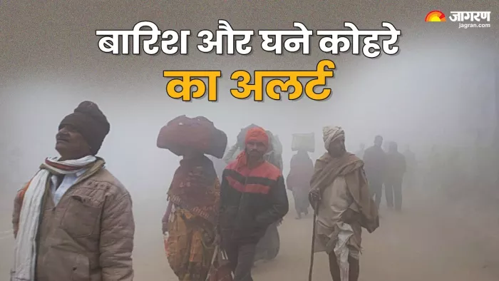 कई राज्यों में घने कोहरे का अलर्ट। ( फोटो- एएनआई )