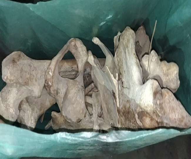 Skeleton found in Jalandhar