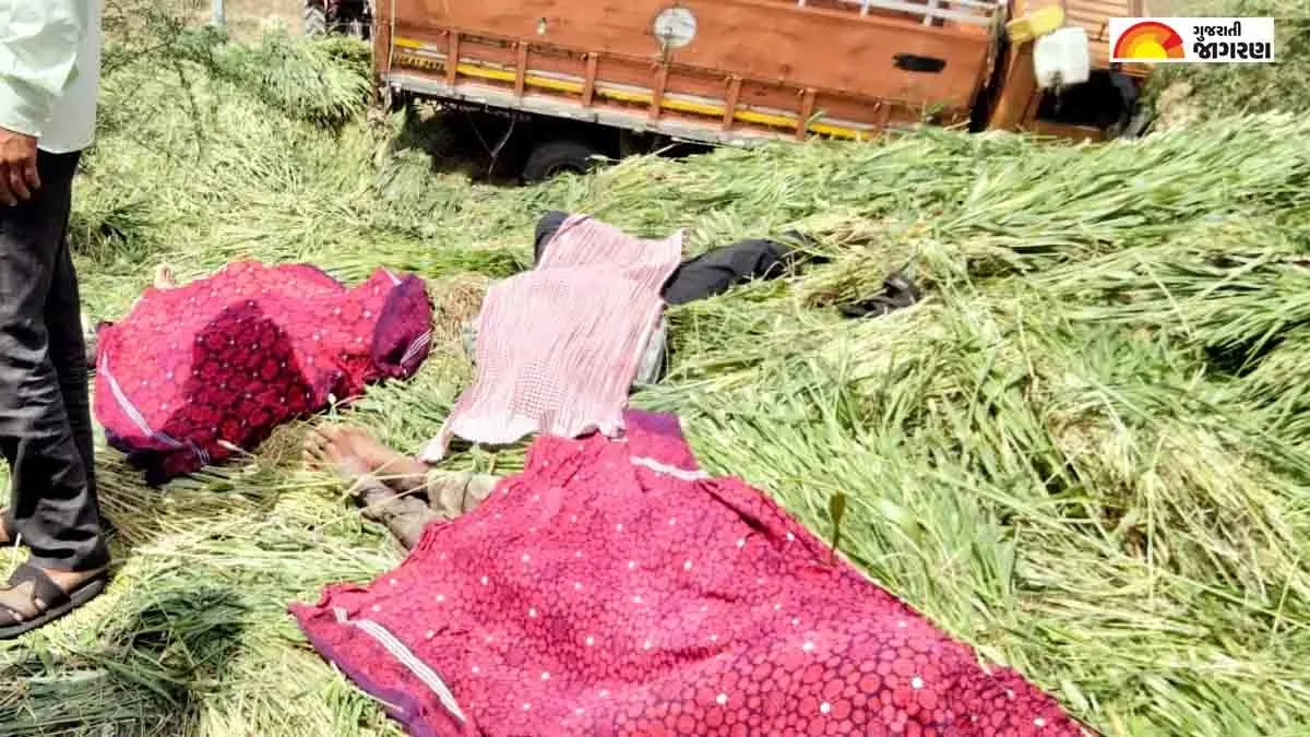 गुजरात के भावनगर के पास चारे से लदा भरा ट्रक पलटा, 2 महिलाओं समेत 6 लोगों की मौत