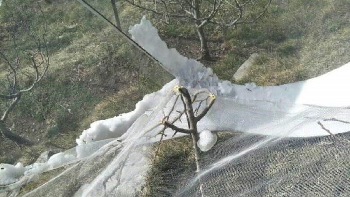 https://www.jagranimages.com/images/newimg/30032023/30_03_2023-hailstone_in_kullu_23371393.jpg