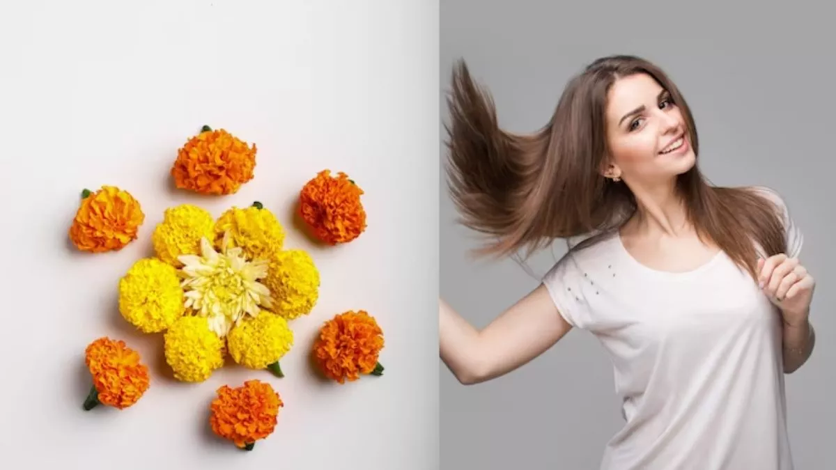 Marigold For Hair: बालों की ग्रोथ के लिए इस्तेमाल करें गेंदे का फूल, इन आसान तरीकों से बनाएं हेयर पैक