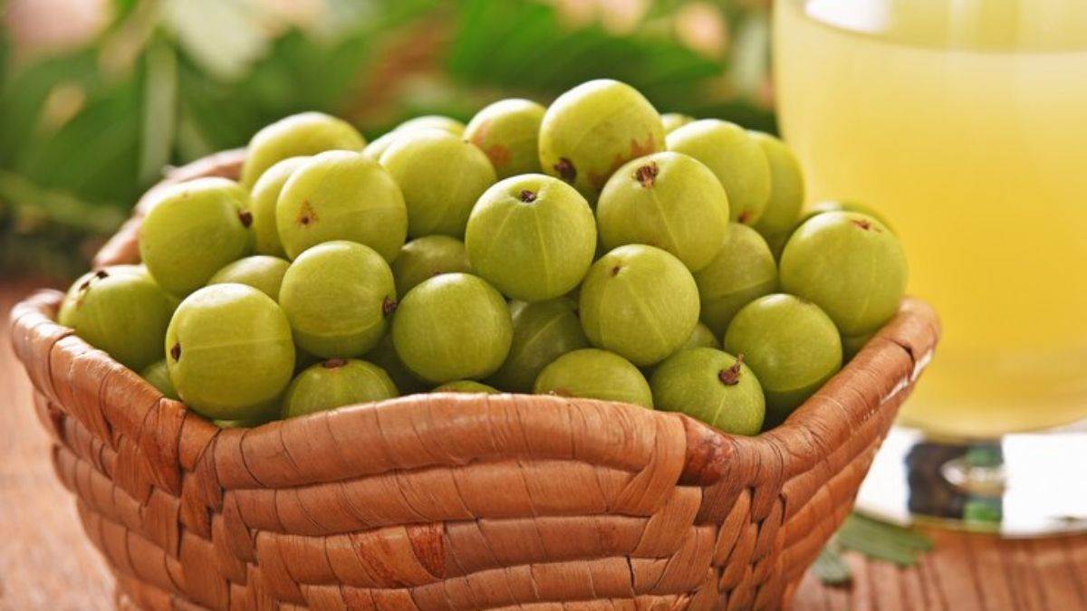 https://www.jagranimages.com/images/newimg/30032024/30_03_2024-amla_23685680.jpg