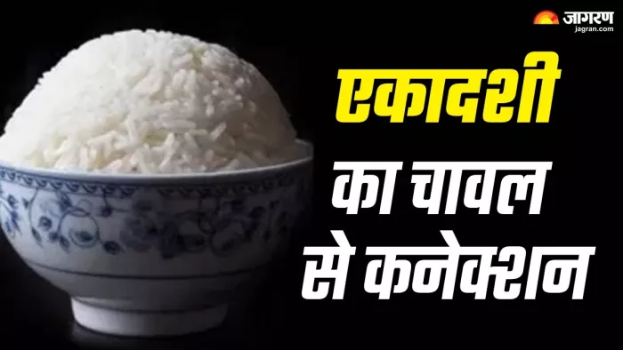 Ekadashi Vrat 2024 एकादशी पर क्यों नहीं खाए जाते चावल?
