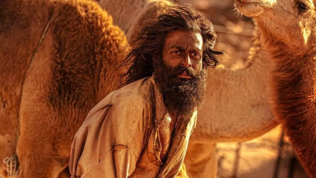 The Goat Life Box Office: 'शैतान'-'क्रू' क्या चीज? 'द गोट लाइफ' ने बॉक्स ऑफिस पर जमाई धाक, करोड़ों में बिजनेस