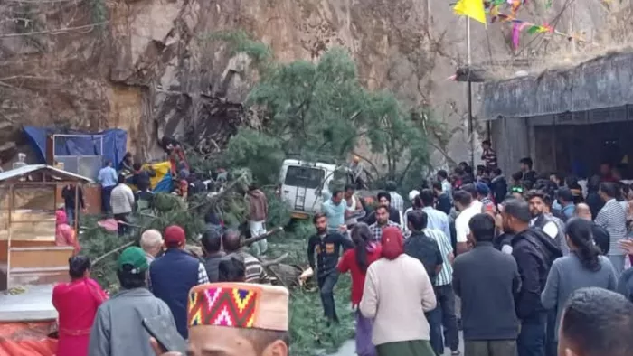 Himachal News: पेड़ गिरने से छह लोगों की मौत। फोटो जागरण