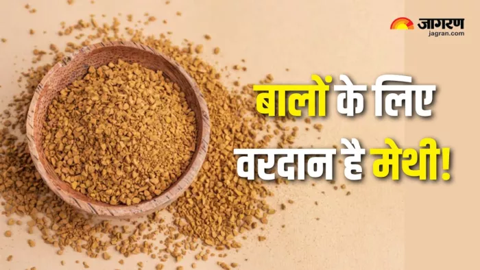 Methi Water for Hair: बाल झड़ने की समस्या का रामबाण इलाज है मेथी का पानी! (Picture Courtesy: Freepik)