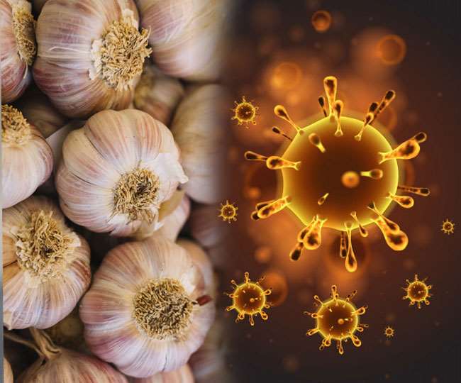 Is Eating Garlic Really Helpful In Killing Coronavirus