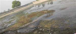 खरेंटी में गंदगी से अटा पड़ा जलघर, लोगों का आरोप प्रदूषित पानी पीकर लोग हो रहे बीमार