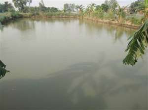 जल सरंक्षण की मिसाल बना अगया का तालाब