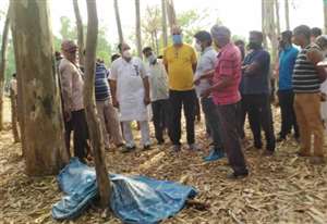 हाथियों ने दिव्यांग युवक को मार डाला