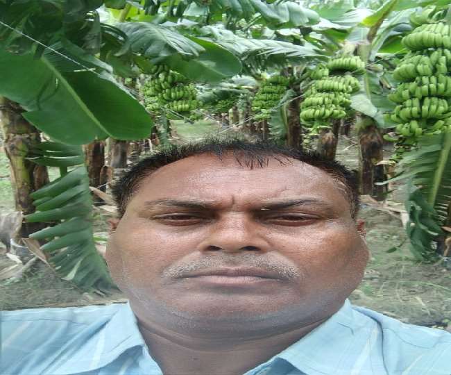 गन्ने की खेत छोड़ दियारे में लहलहा रहा केले का पौधा।