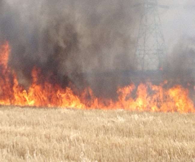 बीते वीरवार को 300 कनाल भूमि आग में जलकर तबाह हो गई थी।