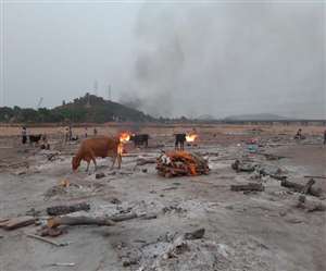 Coronavirus:  शव ढोने से लेकर अंत्&zwj;येष्टि तक के लिए यहां तय है पैकेज, तार-तार होती है संवेदना