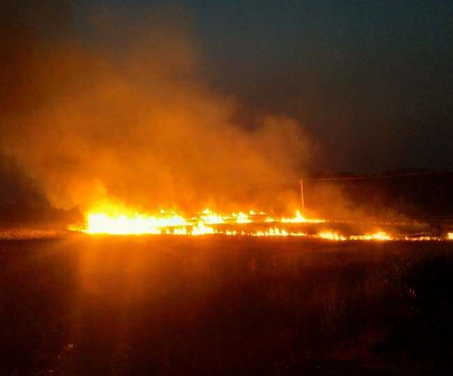 अतरी के एक खेत में जलती पराली। जागरण