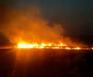 खेतों में धू-धू कर जलती है पराली और आसपास फैल जाता है धुएं का गुबार, नहीं मान रहे गया के किसान