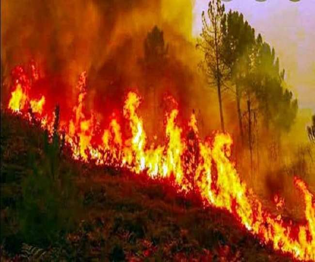 the forest fire is not stopping the center engaged in making a new strategy