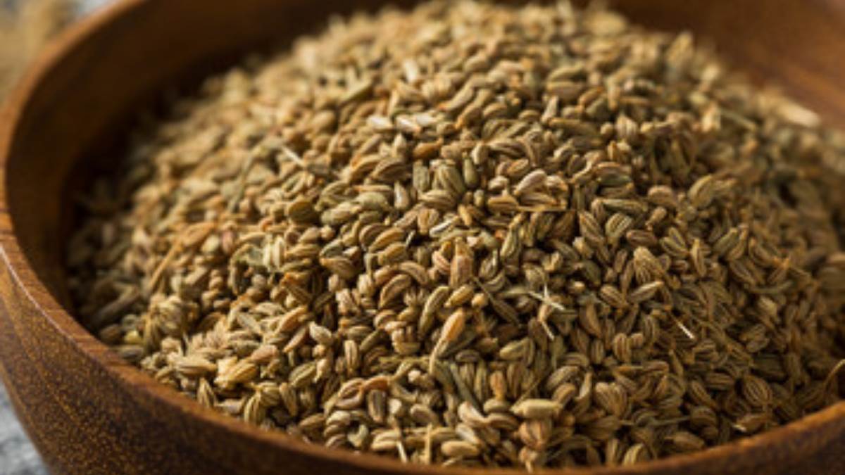 Ajwain Water Benefits गठियाबतास से लेकर चर्बी घटाने तक, अजवाइन है