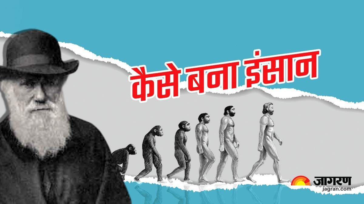 Darwin selection natural evolution theory ppt darwinian charles laws scientific tree finches quotes person should every know did realitypod his Darwin selection natural evolution theory ppt darwinian charles laws scientific tree finches quotes person should every know did realitypod his