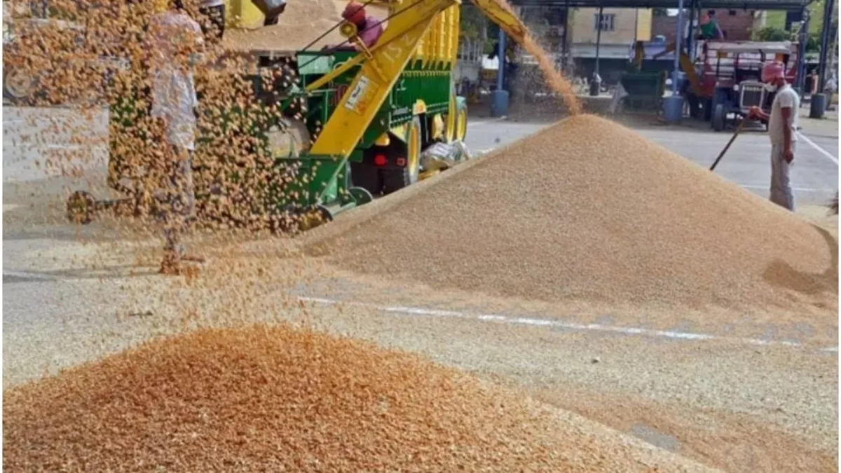 Wheat Price : टारगेट से कम खरीदा गया गेहूं, इन आठ जिलों के सहाकरिता पदाधिकारी पर कार्रवाई