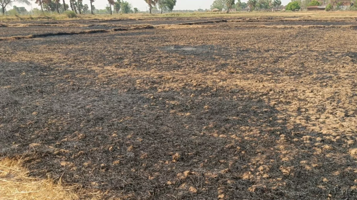 Bihar News: पराली जलाने वाले 40 किसानों पर गिरी कृषि विभाग की गाज, आईडी हुई ब्लॉक; सरकारी अनुदान बंद