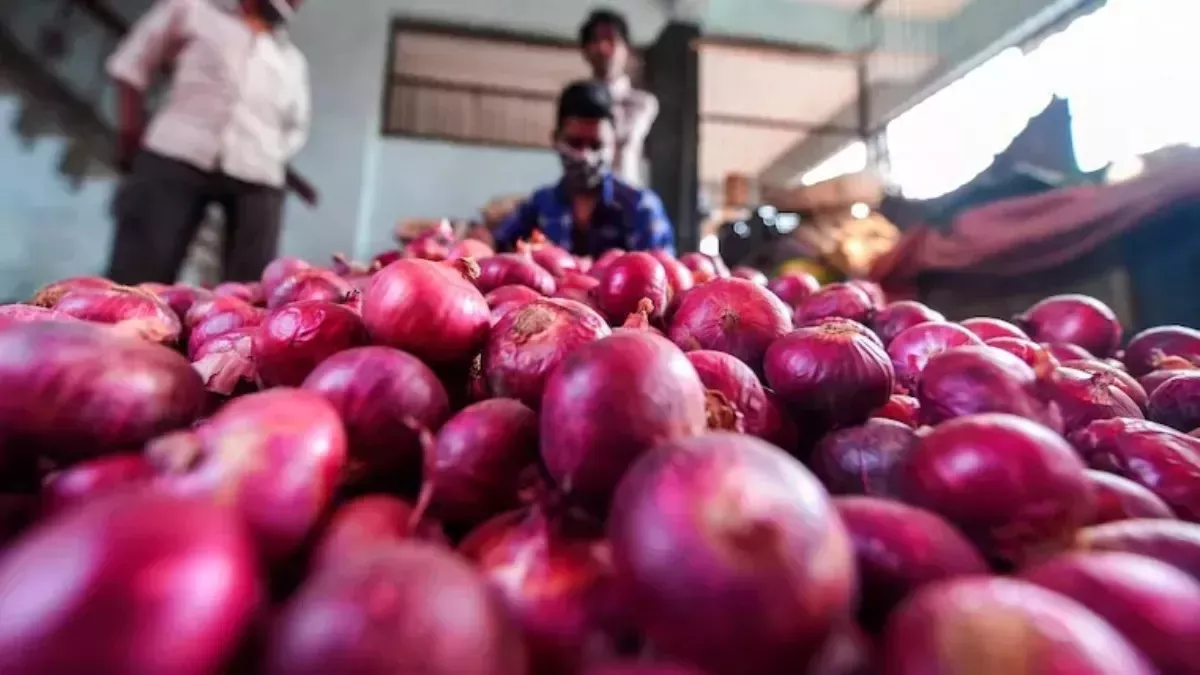 Onion Exports: किसी के लिए राहत तो किसी के लिए आफत बना प्याज, निर्यात की मंजूरी तो मिली, लेकिन...