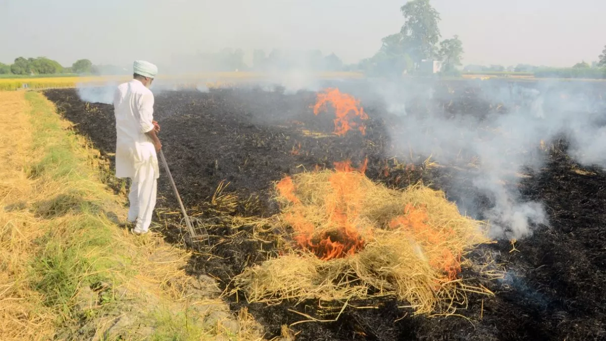 Haryana News: फसल अवशेष जलाते ही किसान के पास GPS लोकेशन के साथ पहुंचेगा फोटो, दोषियों पर होगी कार्रवाई