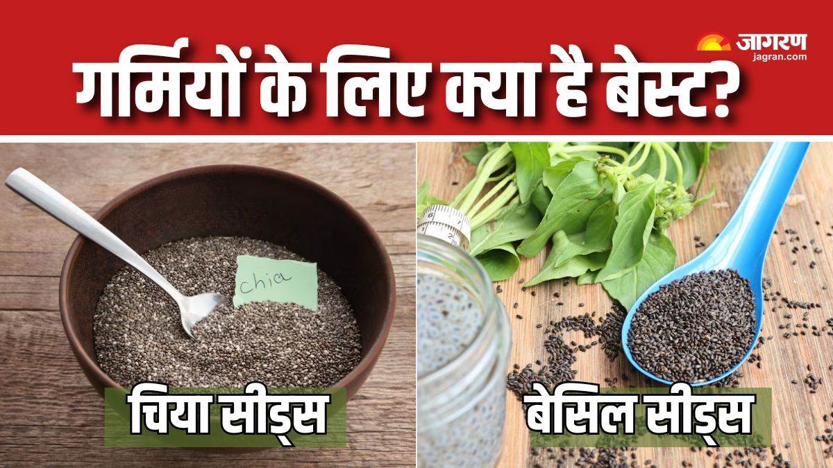 https://www.jagranimages.com/images/newimg/30042025/30_04_2025-basil_seeds_vs_chia_seeds_23928276.jpg