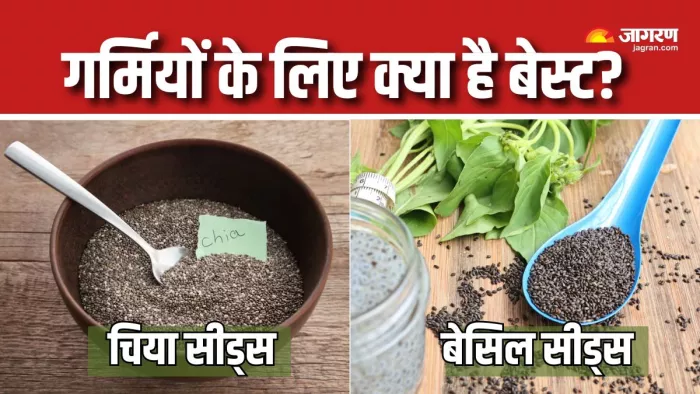 Chia Seeds Vs. Basil Seeds: गर्मियों में ठंडक और सेहत के लिए कौन-सा बीज है बेहतर? (Picture Courtesy: Freepik)