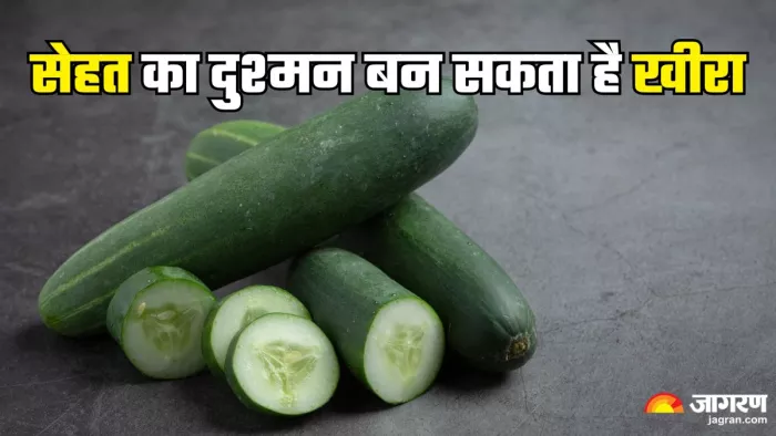 गर्मी में किस समय खाना चाहिए खीरा (Picture Credit- Freepik)