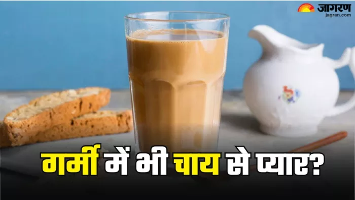 एक दिन में कितनी चाय पीना सही? (Picture Credit- Freepik)