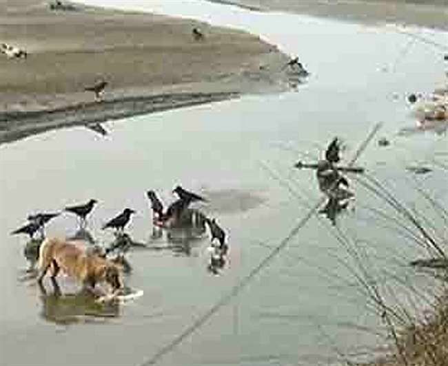 छह साल पहले भी गंगा में मिली थीं लाशें। फाइल फोटो